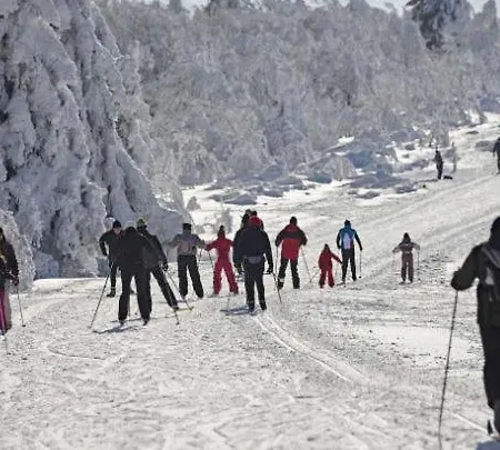 Apartamento Premium Au Grenier De L'ours Dambach