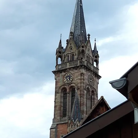 Premium Au Grenier De L'ours