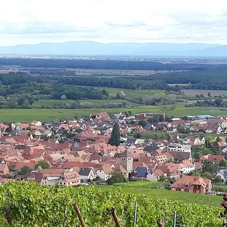 Apartamento Premium Au Grenier De L'ours *