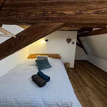 Premium Au Grenier De L'ours Apartamento Dambach
