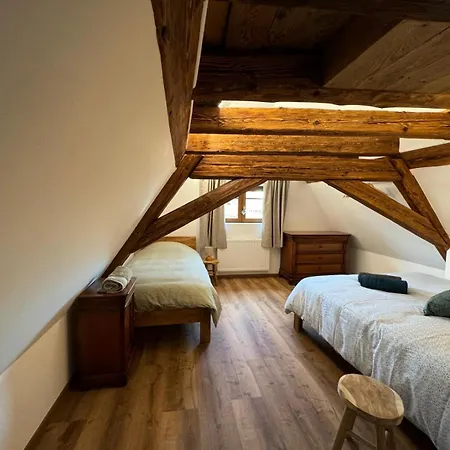 Apartamento Premium Au Grenier De L'ours Dambach