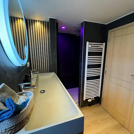 Premium Au Grenier De L'ours Apartamento Dambach