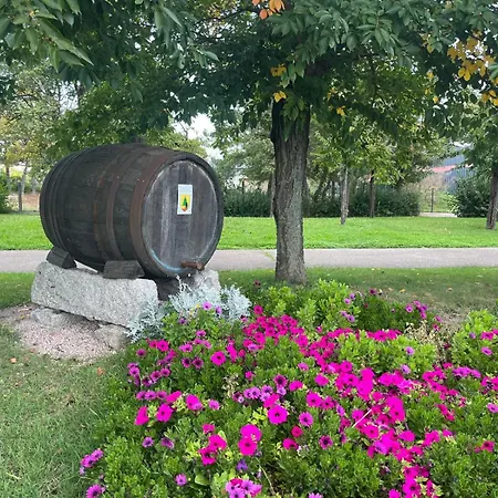 Premium Au Grenier De L'ours